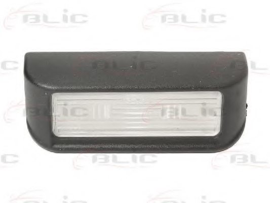 BLIC 5402-009-31-900 Licence Plate Light